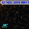Cl* NGC 1978    WBT    5711