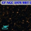Cl* NGC 1978    WBT    5713