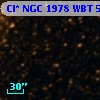 Cl* NGC 1978    WBT    5714