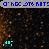 Cl* NGC 1978    WBT    5718
