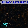 Cl* NGC 1978    WBT    5719