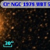Cl* NGC 1978    WBT    5721