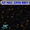Cl* NGC 1978    WBT    5724