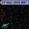 Cl* NGC 1978    WBT    5725