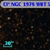 Cl* NGC 1978    WBT    5736
