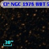 Cl* NGC 1978    WBT    5737