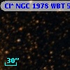 Cl* NGC 1978    WBT    5756