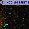 Cl* NGC 1978    WBT    5784