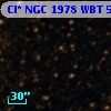 Cl* NGC 1978    WBT    5785