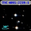 TYC 4085-2239-1