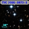 TYC 3166-1073-1