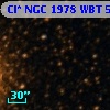 Cl* NGC 1978    WBT    5813