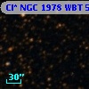 Cl* NGC 1978    WBT    5816