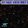 Cl* NGC 1978    WBT    5821