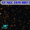 Cl* NGC 1978    WBT    5822