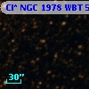 Cl* NGC 1978    WBT    5823
