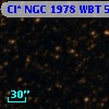 Cl* NGC 1978    WBT    5832