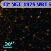 Cl* NGC 1978    WBT    5856