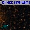 Cl* NGC 1978    WBT    5861