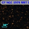 Cl* NGC 1978    WBT    5866