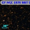 Cl* NGC 1978    WBT    5890