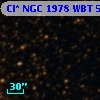 Cl* NGC 1978    WBT    5891