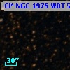 Cl* NGC 1978    WBT    5894
