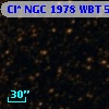 Cl* NGC 1978    WBT    5895