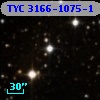 TYC 3166-1075-1
