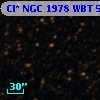 Cl* NGC 1978    WBT    5906