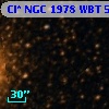 Cl* NGC 1978    WBT    5915