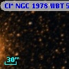 Cl* NGC 1978    WBT    5919
