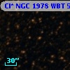 Cl* NGC 1978    WBT    5923