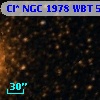 Cl* NGC 1978    WBT    5935