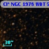 Cl* NGC 1978    WBT    5950