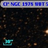 Cl* NGC 1978    WBT    5954
