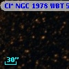 Cl* NGC 1978    WBT    5955
