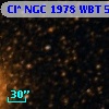 Cl* NGC 1978    WBT    5956