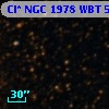 Cl* NGC 1978    WBT    5962