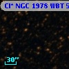 Cl* NGC 1978    WBT    5969
