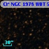 Cl* NGC 1978    WBT    5978