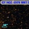 Cl* NGC 1978    WBT    5981
