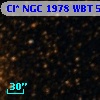 Cl* NGC 1978    WBT    5984