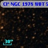 Cl* NGC 1978    WBT    5992