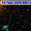 Cl* NGC 1978    WBT    5998
