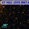 Cl* NGC 1978    WBT    6003