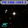 TYC 3166-1164-1