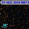 Cl* NGC 1978    WBT    6021