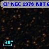 Cl* NGC 1978    WBT    6036