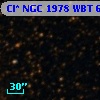 Cl* NGC 1978    WBT    6081